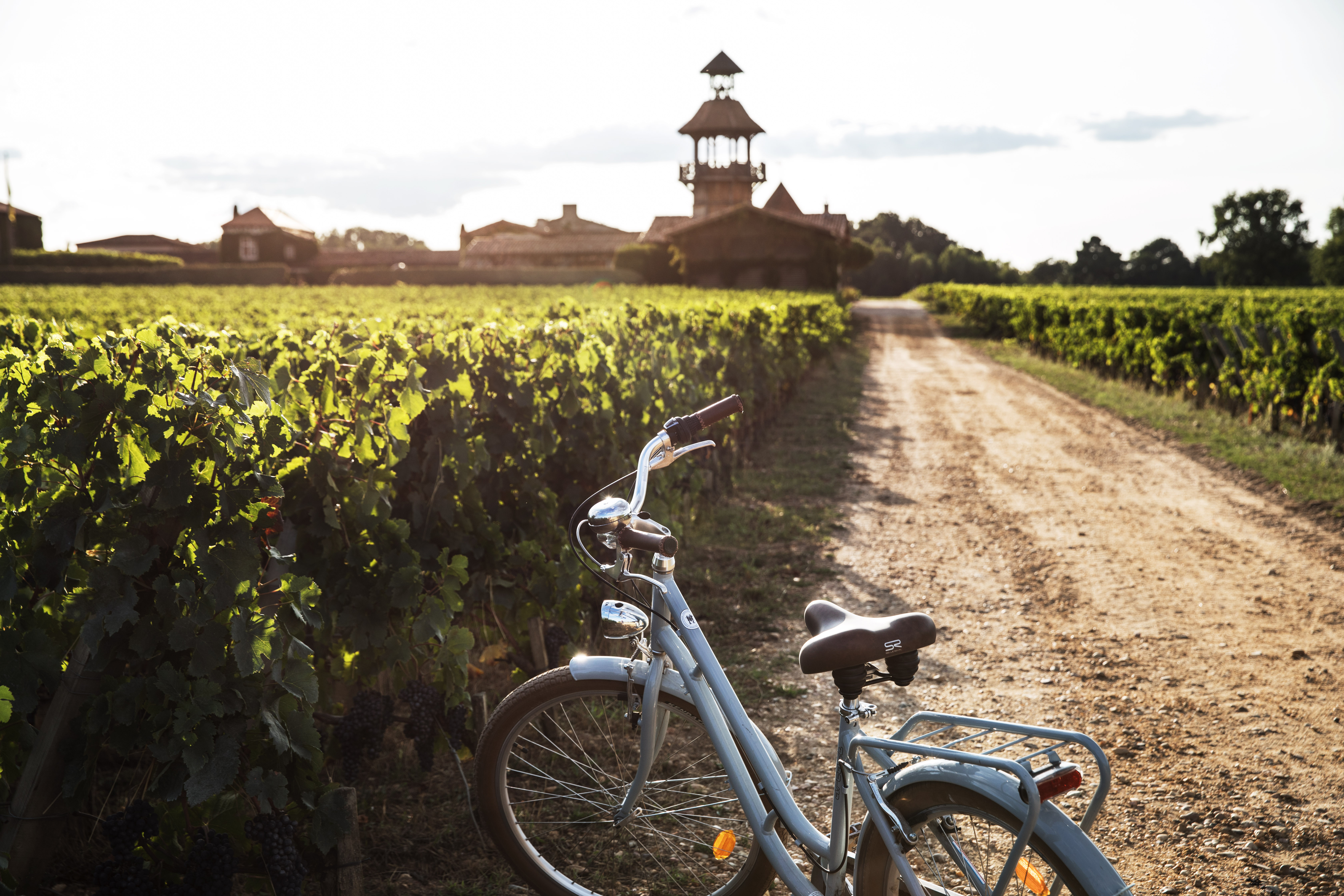Vélo vignoble Bordeaux