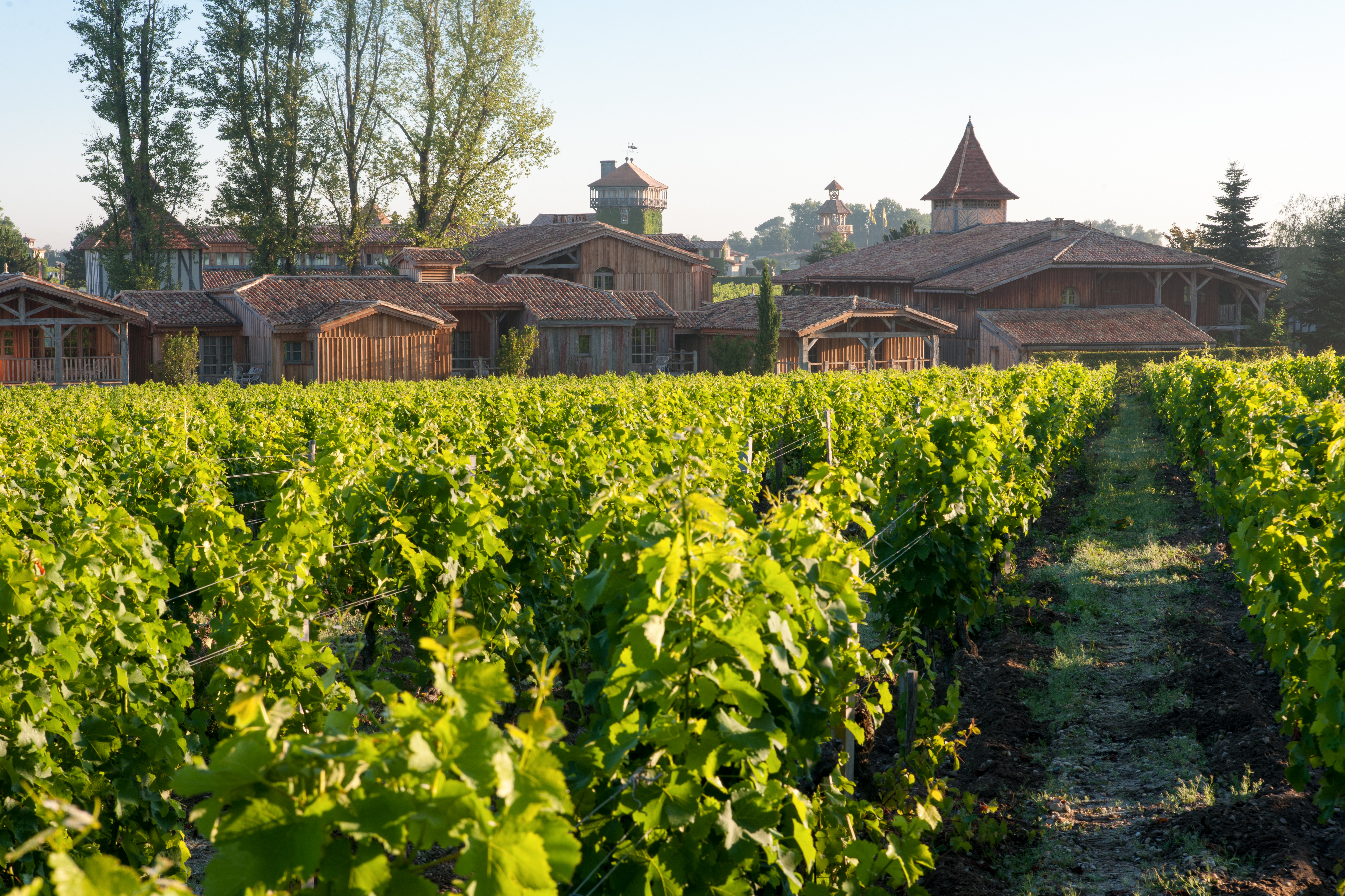 vignobles Caudalie