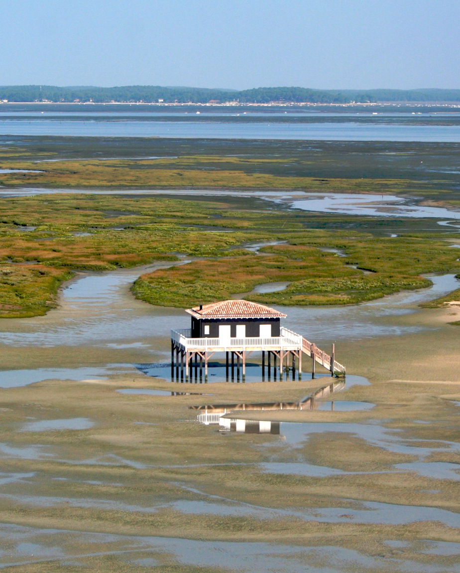 bassin Arcachon