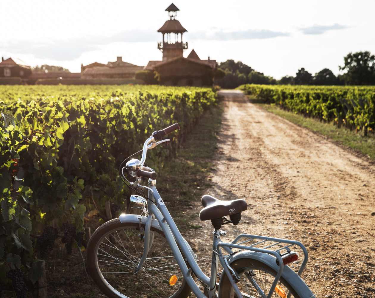 vignoble à vélo
