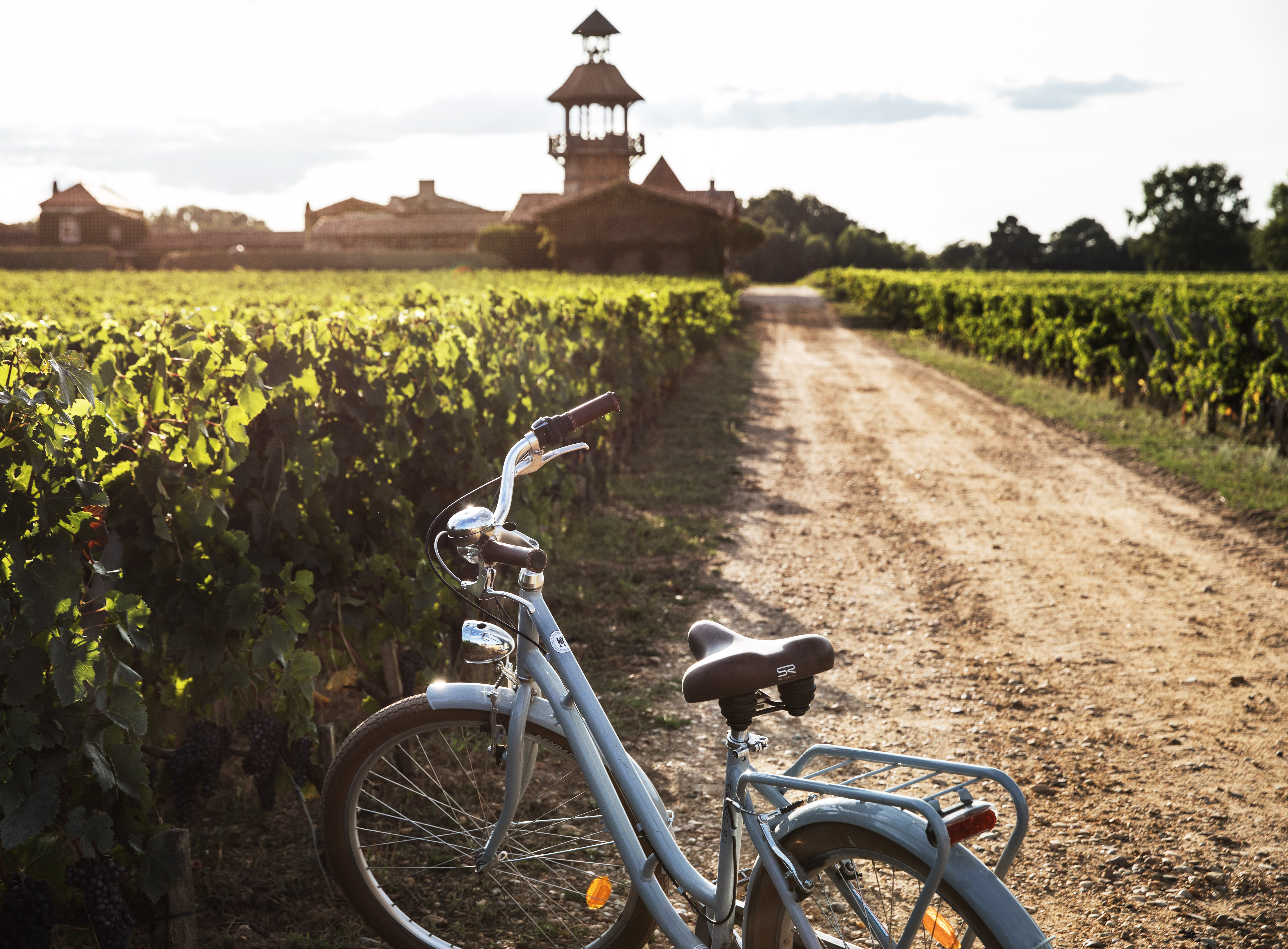 vignoble à vélo