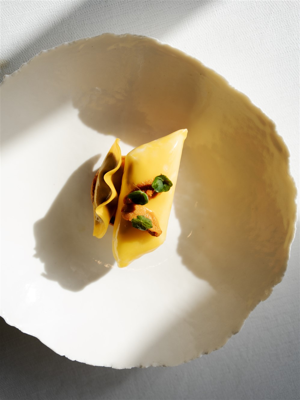 Plat Nicolas Masse Bordeaux