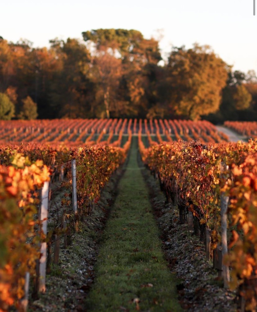 Douceur d’Automne