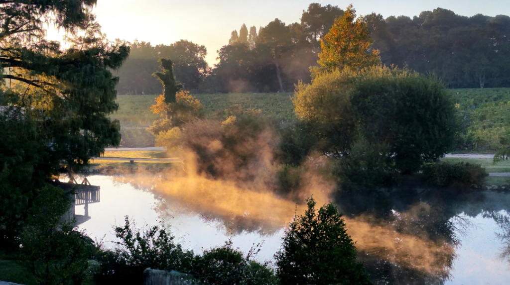 Castle Life for Lovers