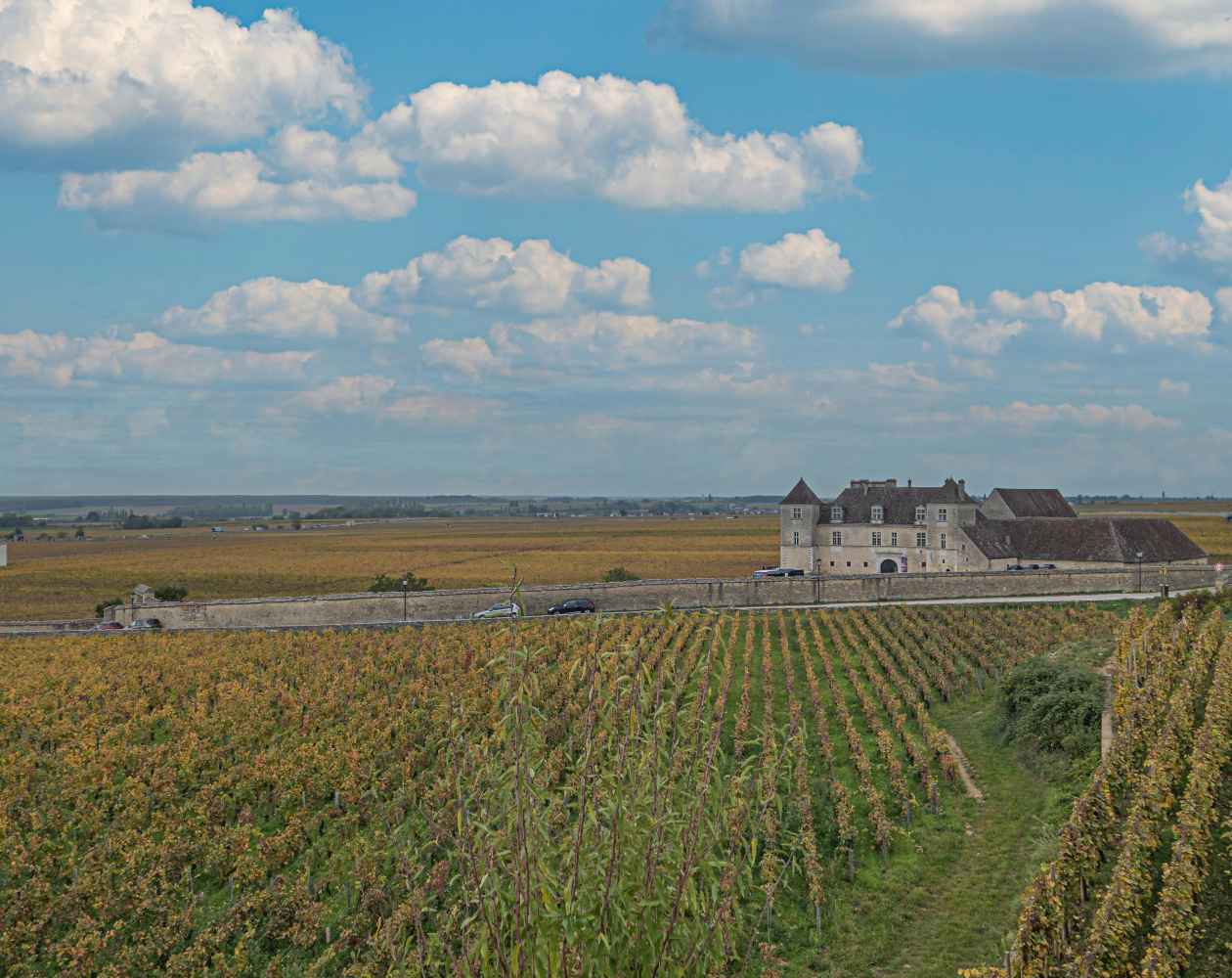 château clos de vougeot