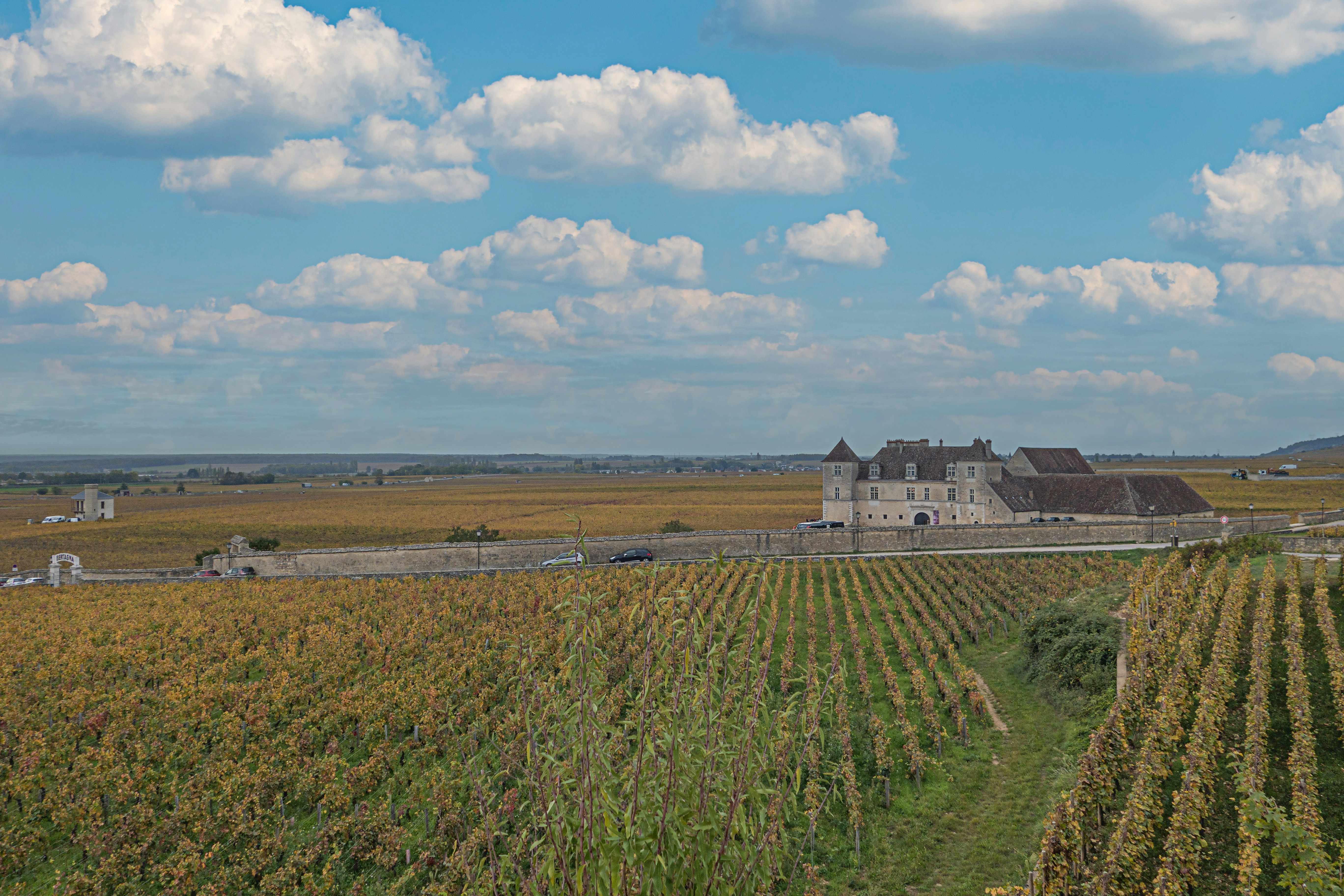 château clos de vougeot