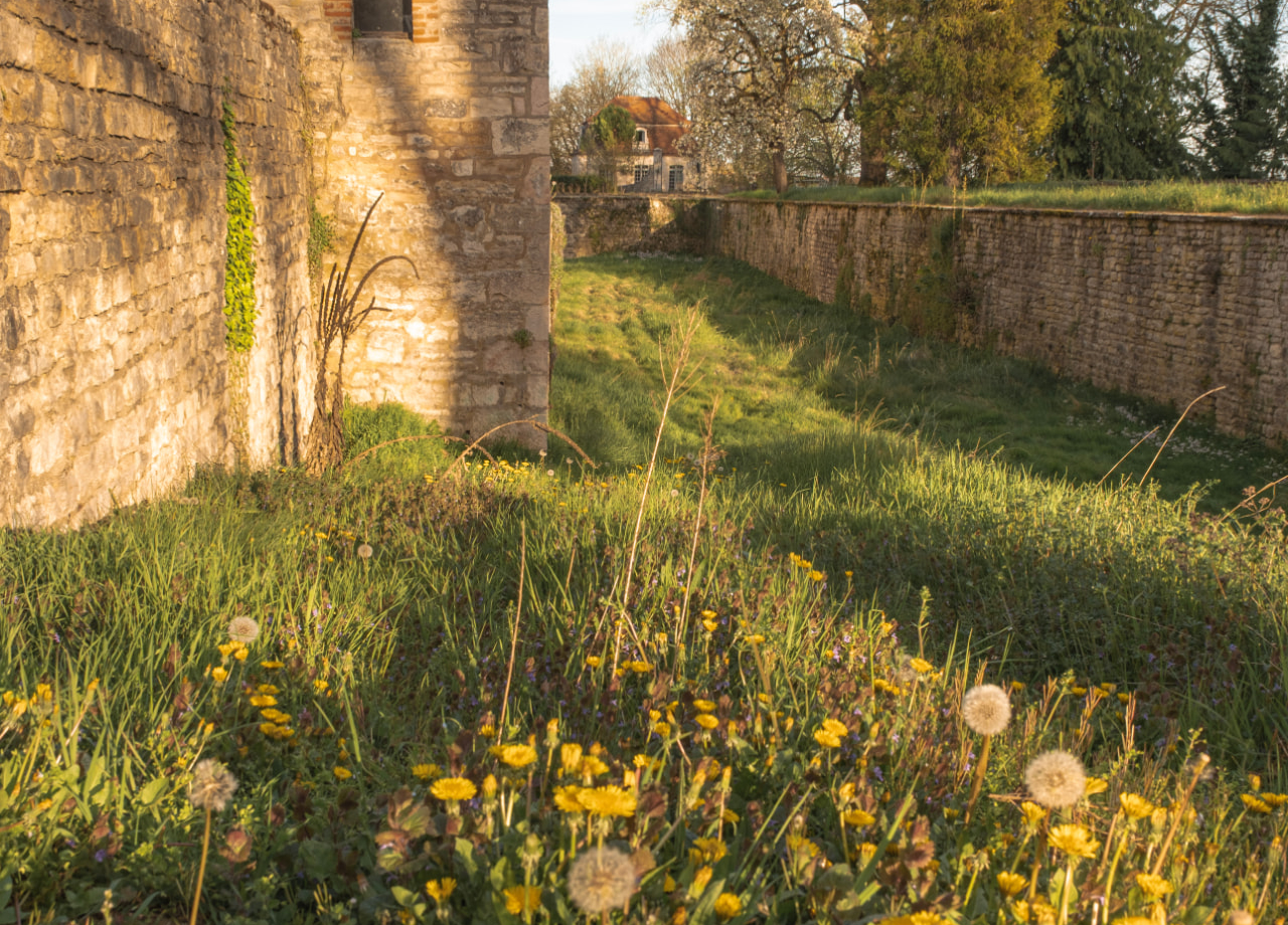 Jardin - Les Sources de Vougeot