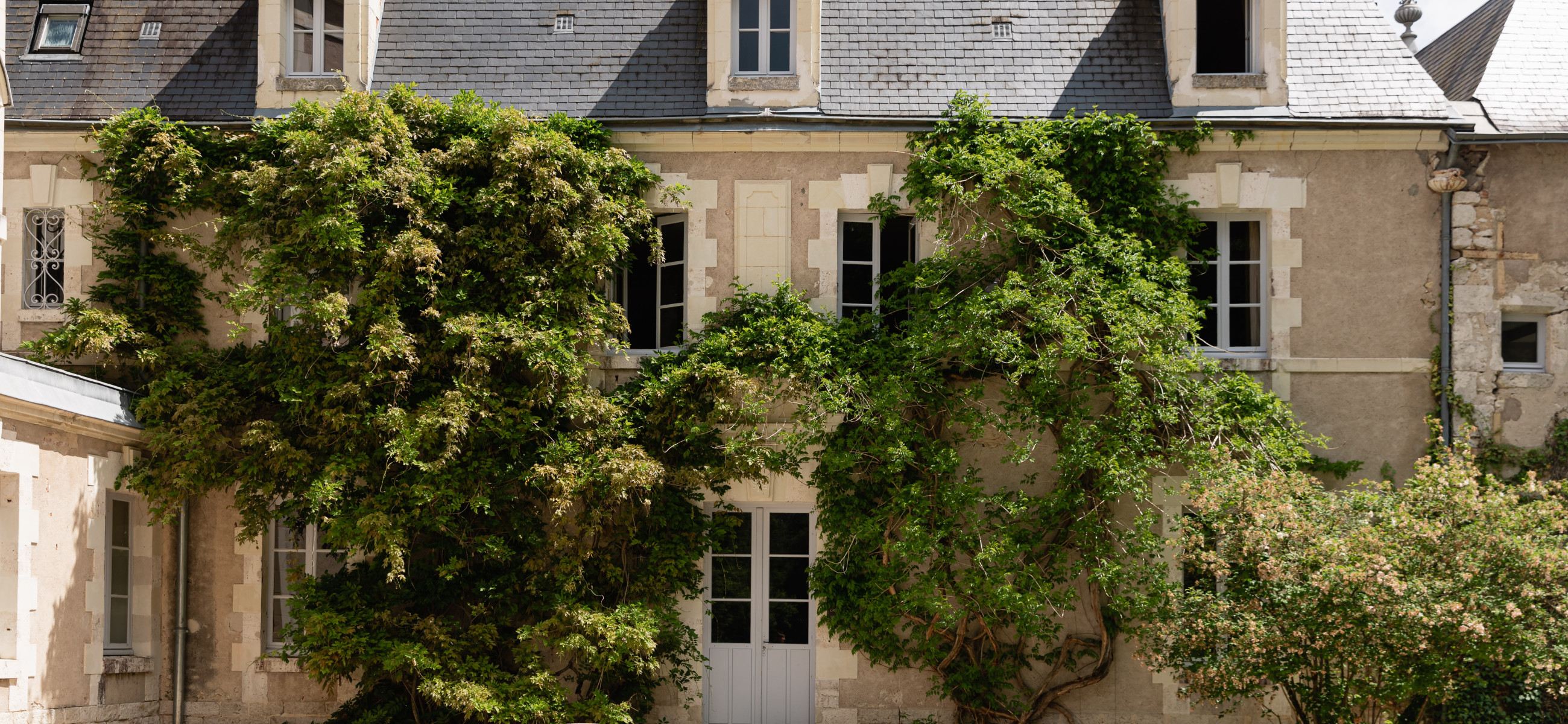 Chateau hotel Cheverny
