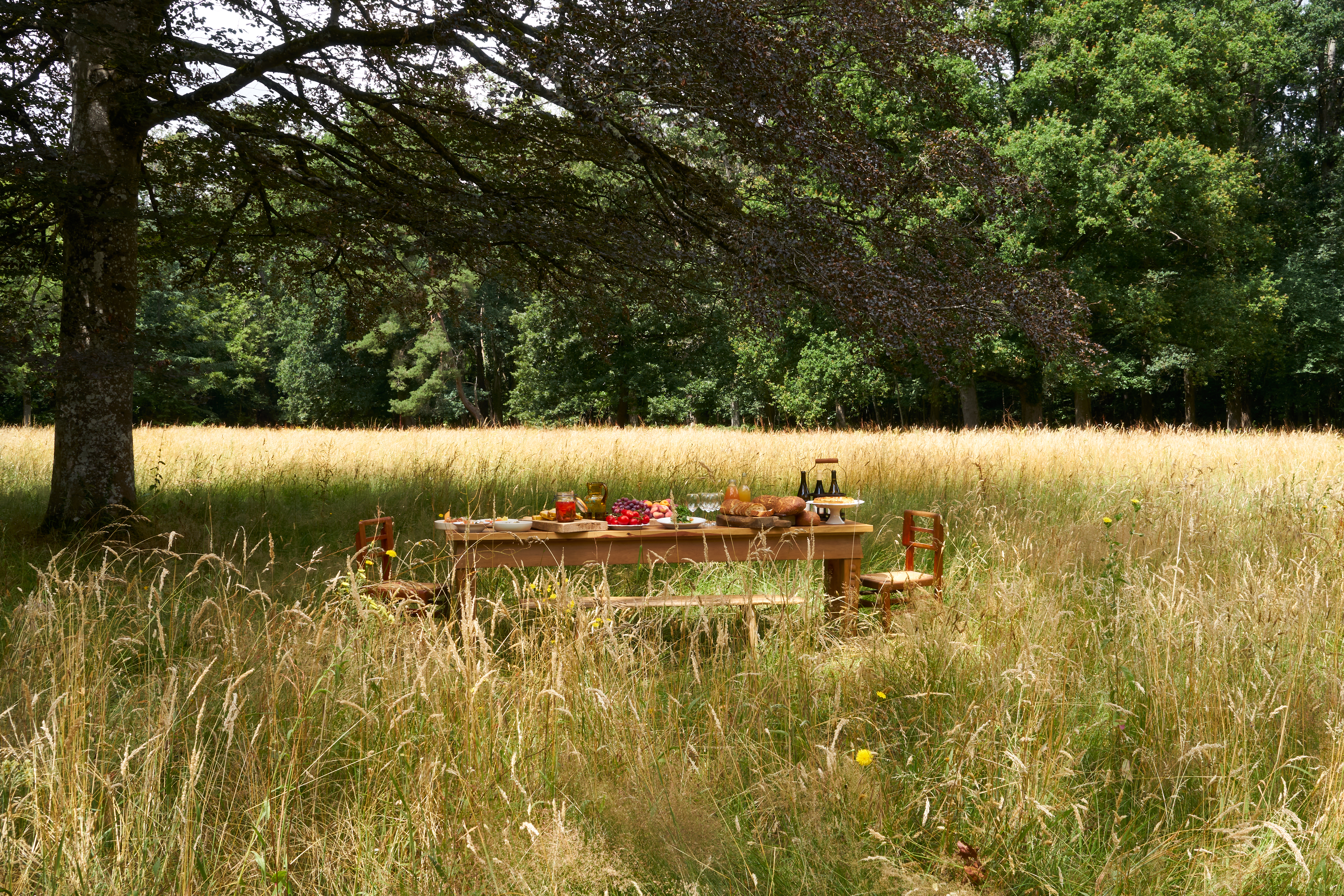 picnic val de Loire