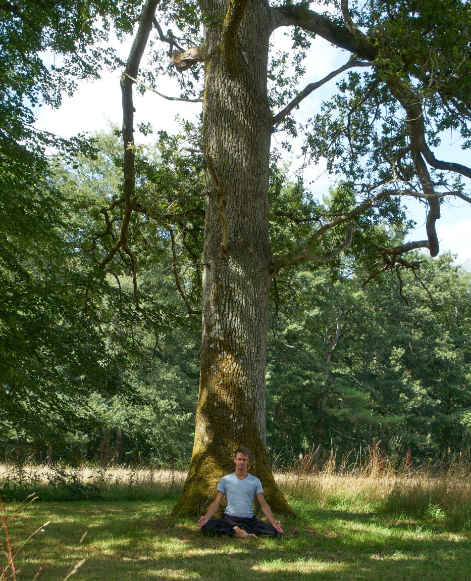 Relaxation Loire Valley