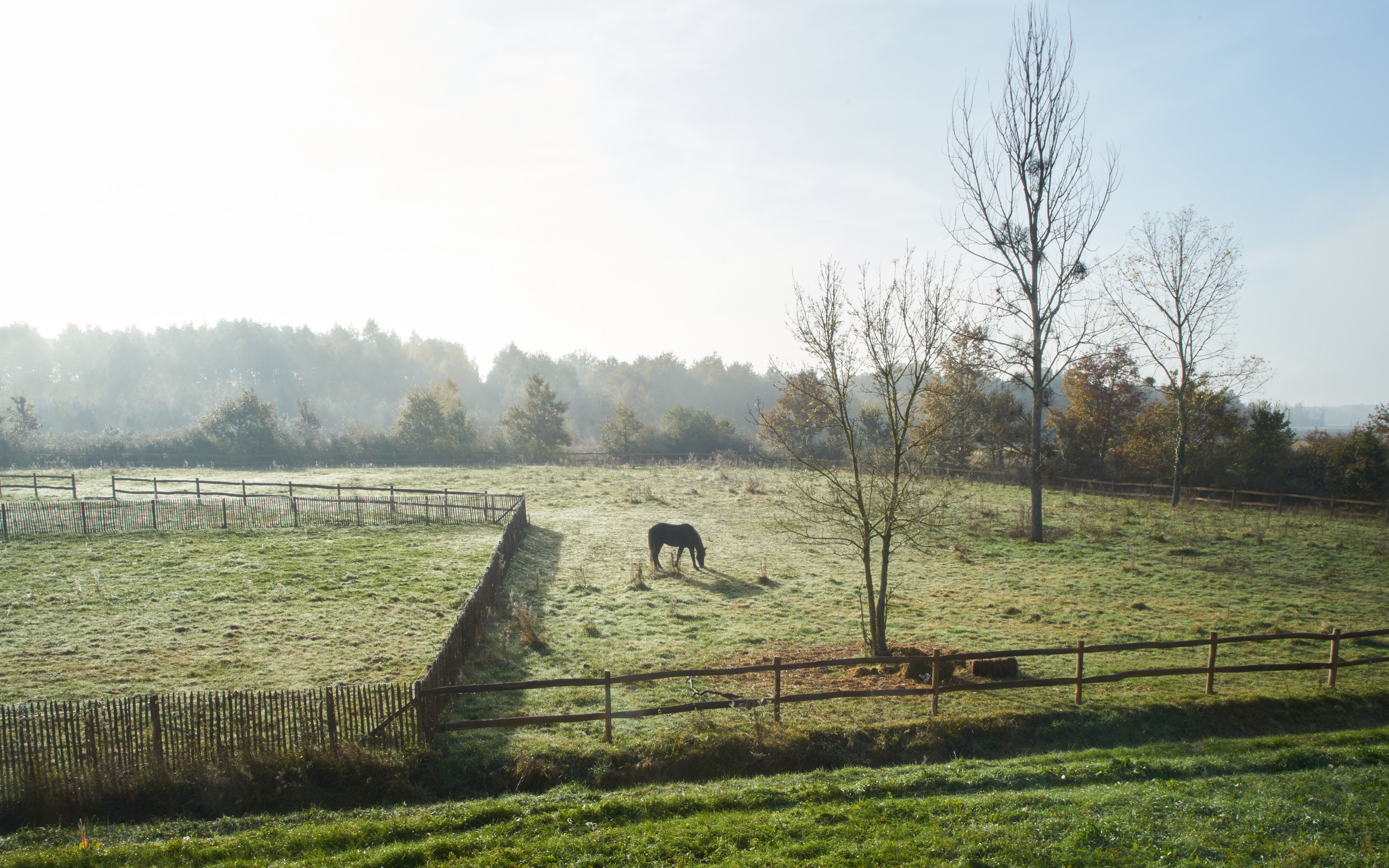 équitation Cheverny