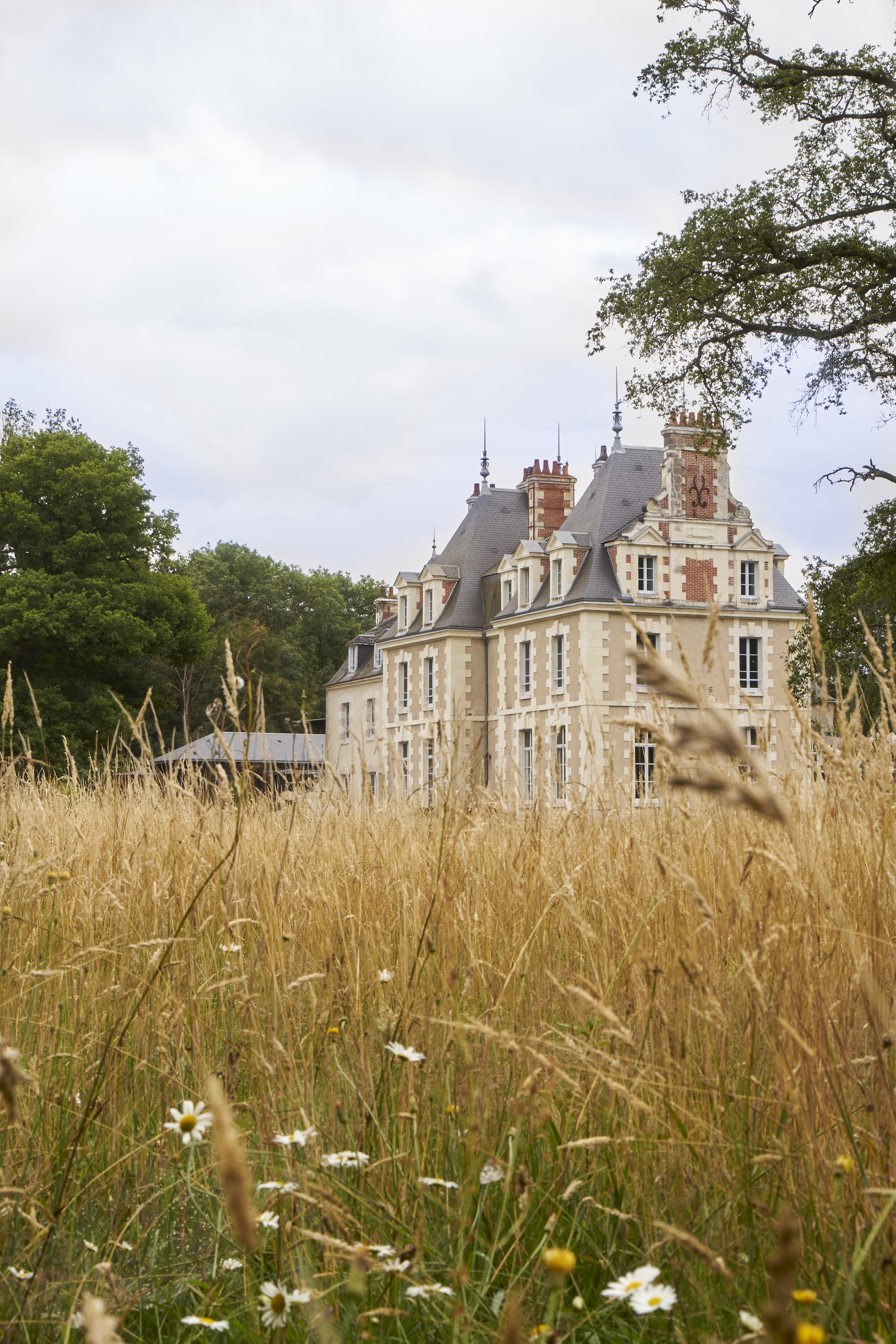 Château d’époque au cœur d’une nature champêtre