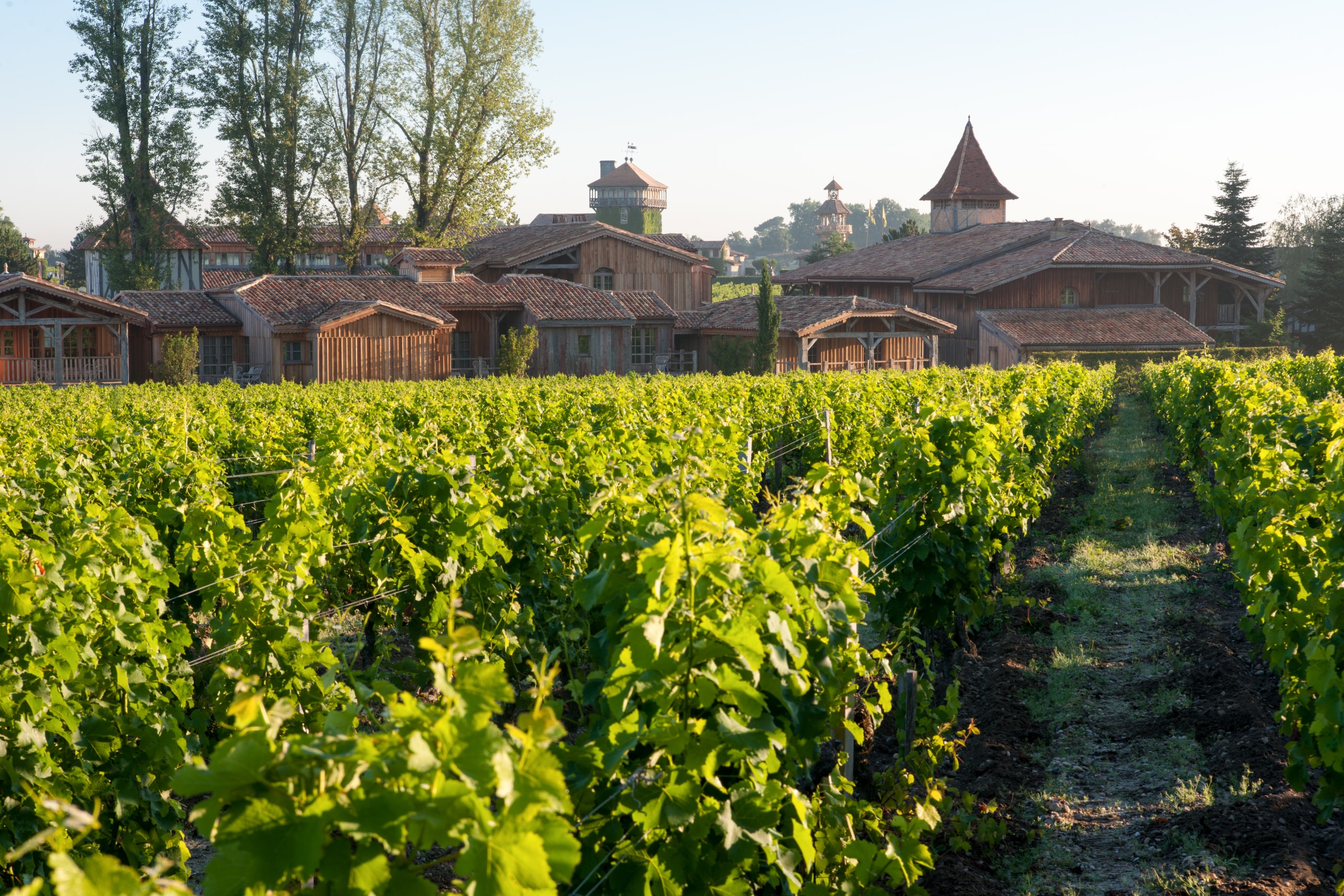 vignoble Les Sources de Caudalie