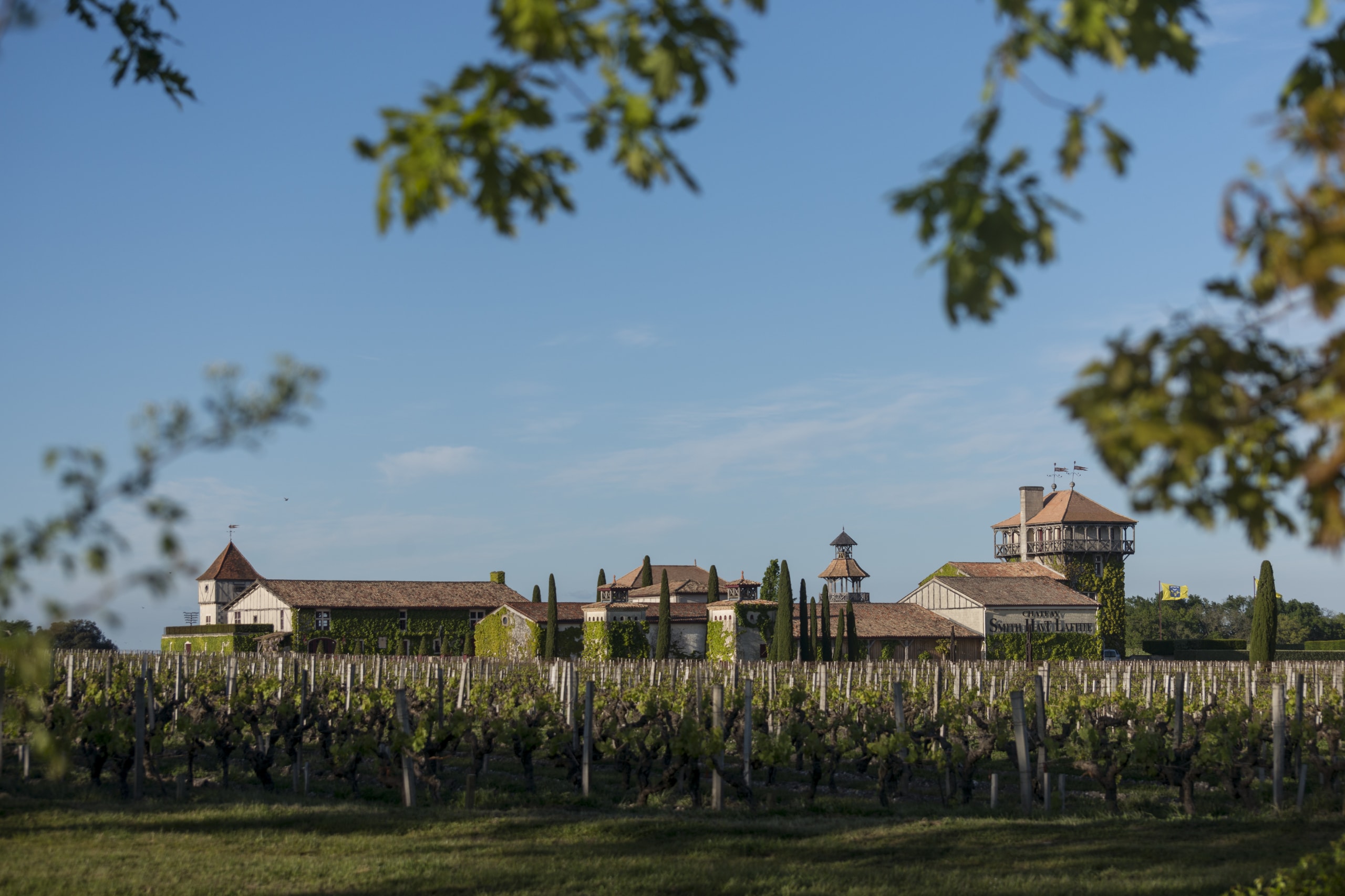 vignoble Smith Haut Lafitte