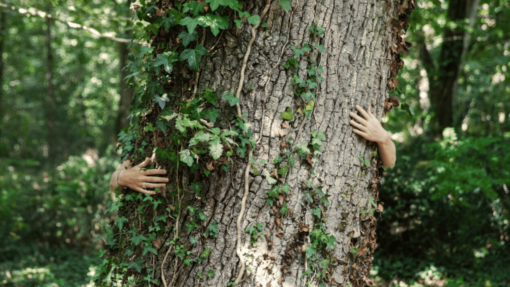 The healing power of trees