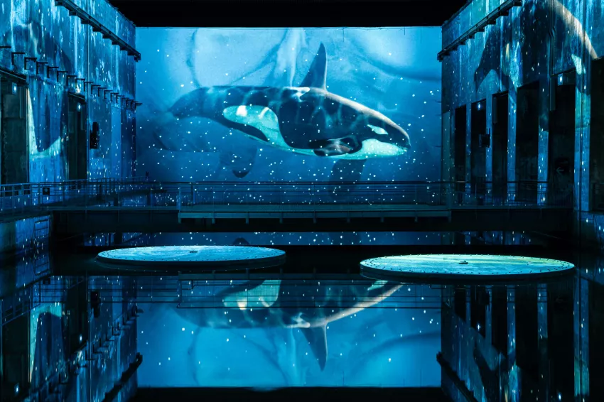 activités famille Noël Bordeaux