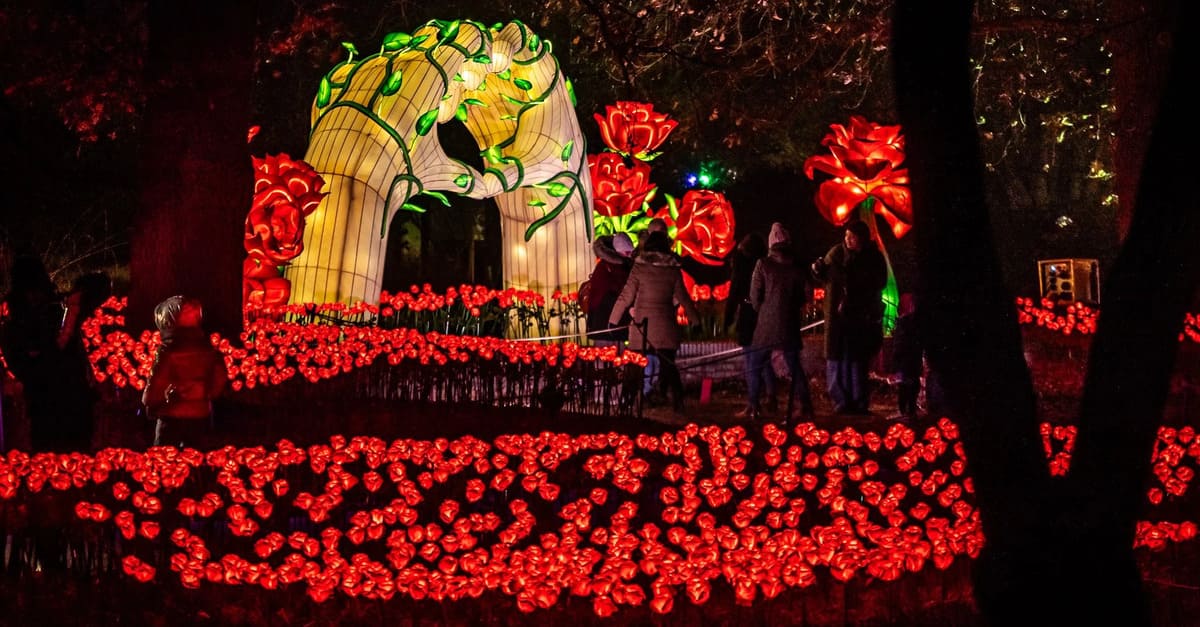 Odyssée lumineuse Bordeaux