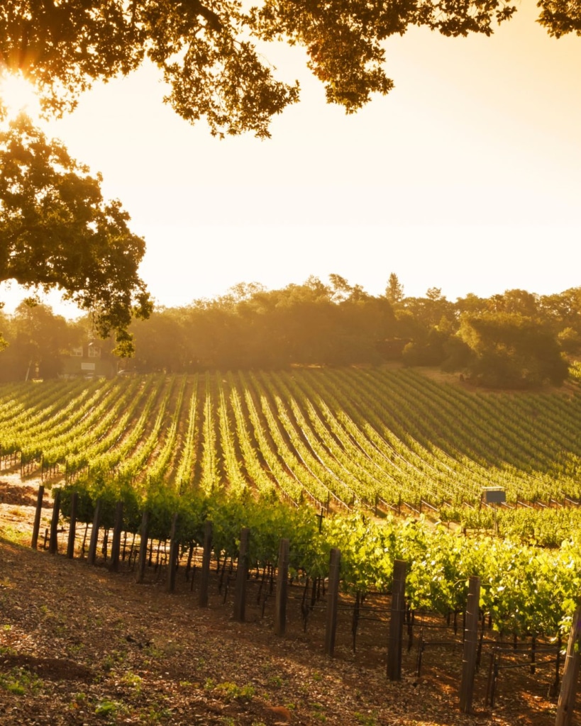 Our Spring Activities – Burgundy