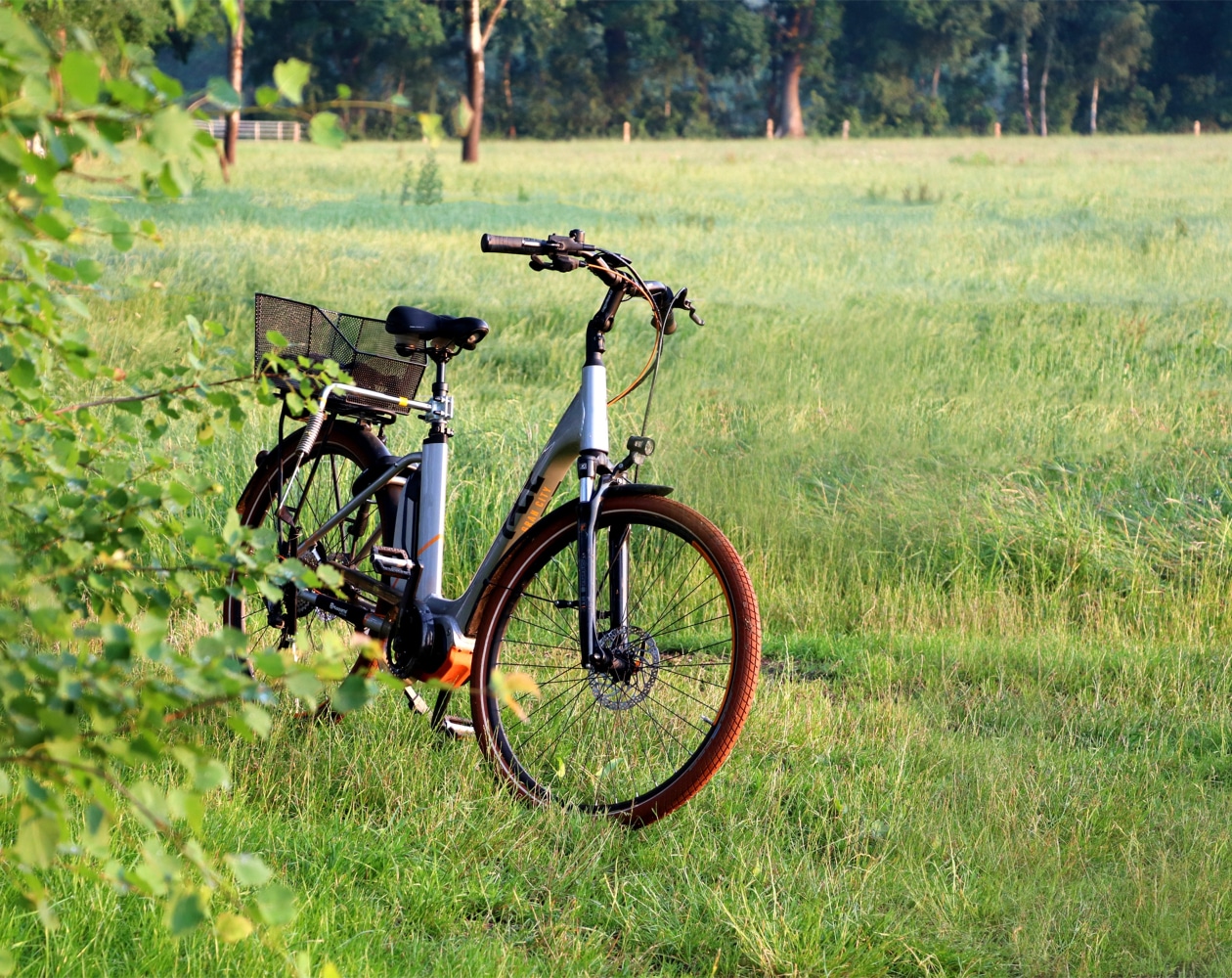 balade à vélo en famille