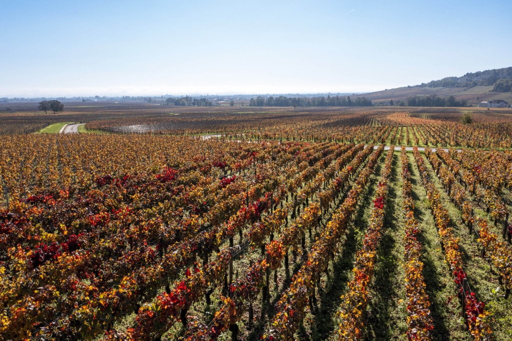 Vacances d&rsquo;Automne en Bourgogne